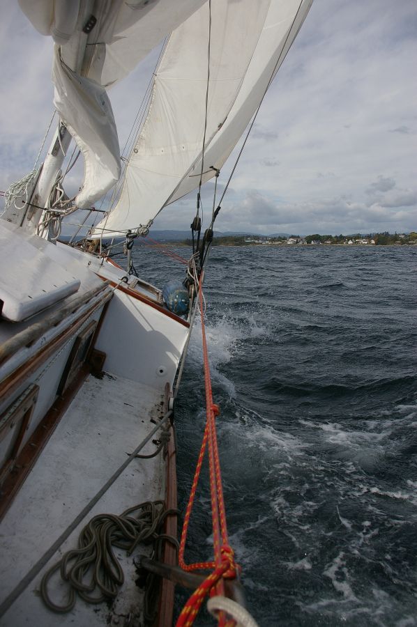 gal/2009-09-19 Lorne Nelson Sailing/IMGP8538.jpg